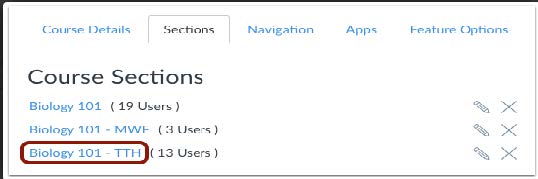 Canvas course section titles