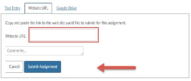 Video Link Submission Guide image 