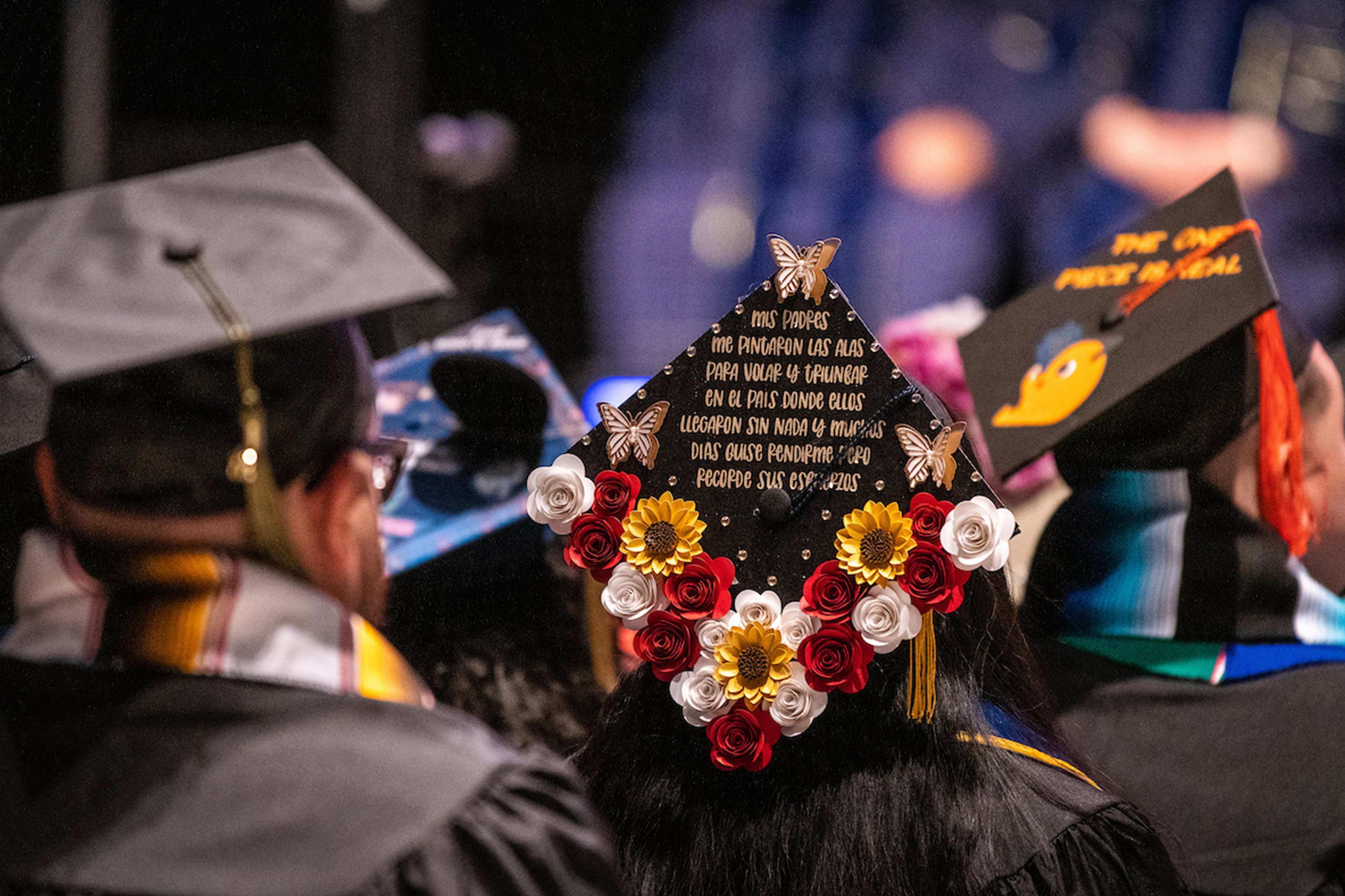 Mortarboard 