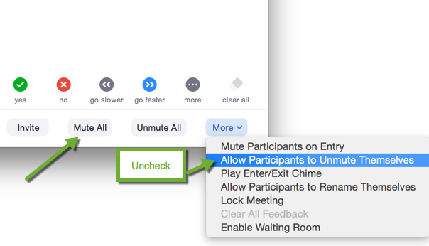 Participant panel in a Zoom session with options.
